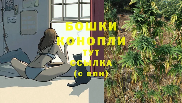 экстази Ладушкин