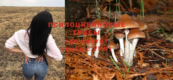 не бодяженный Лабытнанги