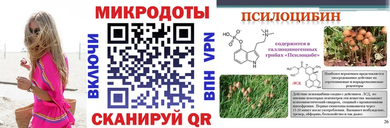 Псилоцибиновые грибы Cubensis Мегион
